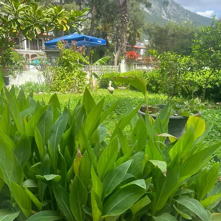 Appart hôtel Nova Aparts